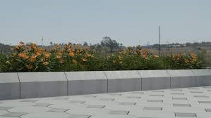 ASAS Advanced Co concrete block production factory in Saudi Arabia